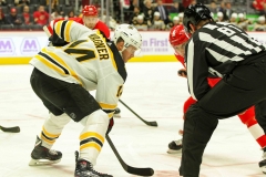 Boston-Bruins-vs-Detroit-Red-Wings-November-8-2019-15
