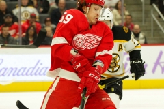 Boston-Bruins-vs-Detroit-Red-Wings-November-8-2019-21