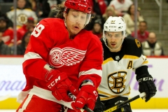 Boston-Bruins-vs-Detroit-Red-Wings-November-8-2019-22