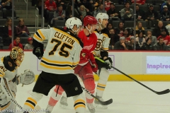 Boston-Bruins-vs-Detroit-Red-Wings-November-8-2019-39