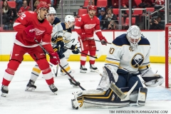 Red Wings vs Buffalo Sabres Feb 22 2018 (1)