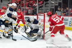 Red Wings vs Buffalo Sabres Feb 22 2018 (11)