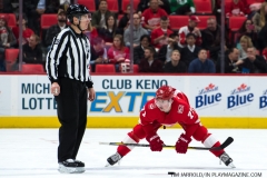 Red Wings vs Buffalo Sabres Feb 22 2018 (13)