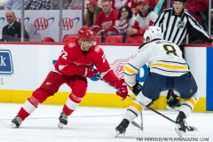 Red Wings vs Buffalo Sabres Feb 22 2018 (14)
