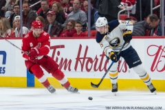 Red Wings vs Buffalo Sabres Feb 22 2018 (16)