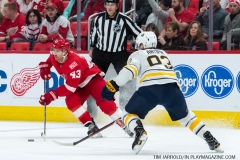 Red Wings vs Buffalo Sabres Feb 22 2018 (17)