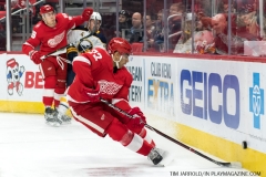 Red Wings vs Buffalo Sabres Feb 22 2018 (3)