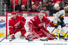 Red Wings vs Buffalo Sabres Feb 22 2018 (36)