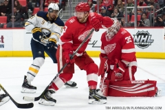 Red Wings vs Buffalo Sabres Feb 22 2018 (9)