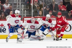 Red Wings vs Canadiens 1-8-2019 (14)