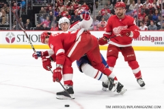 Red Wings vs Canadiens 1-8-2019 (39)