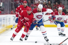 Red Wings vs Canadiens 1-8-2019 (6)