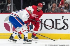 Red Wings vs Canadiens Feb 26 2019 (12)