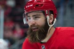 Red Wings vs Canadiens Feb 26 2019 (18)