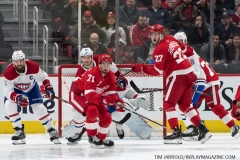 Red Wings vs Canadiens Feb 26 2019 (20)