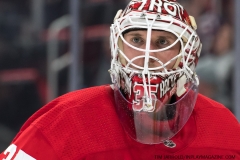 Red Wings vs Canadiens Feb 26 2019 (21)