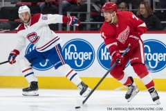 Red Wings vs Canadiens Feb 26 2019 (23)