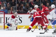 Red Wings vs Canadiens Feb 26 2019 (25)