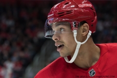 Red Wings vs Canadiens Feb 26 2019 (28)