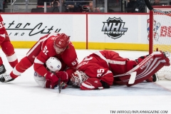 Red Wings vs Canadiens Feb 26 2019 (30)