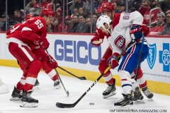 Red Wings vs Canadiens Feb 26 2019 (33)