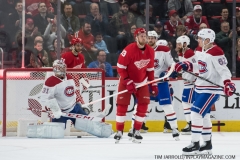 Red Wings vs Canadiens Feb 26 2019 (36)