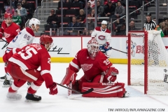 Red Wings vs Canadiens Feb 26 2019 (40)
