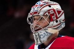 Red Wings vs Canadiens Feb 26 2019 (55)
