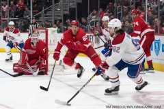 Red Wings vs Canadiens Feb 26 2019 (64)