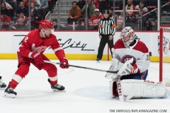 Red Wings vs Canadiens Feb 26 2019 (72)