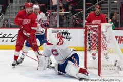 Red Wings vs Canadiens Feb 26 2019 (76)