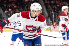 MONTREAL-CANDIENS-AT-DETROIT-RED-WINGS-JANUARY-7-2020-46
