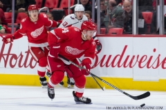 Red Wings vs Washington Capitals March 22 2018 (1)