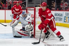 Red Wings vs Washington Capitals March 22 2018 (31)