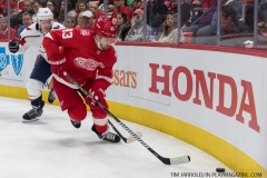 Red Wings vs Washington Capitals March 22 2018 (40)