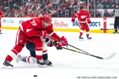 Capitals-vs-Red-Wings-Nov-30-2019-2