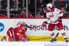 Red Wings vs Carolina Hurricanes Feb 24 2018 (1)