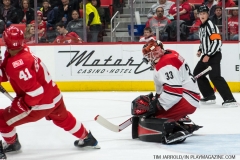 Red Wings vs Carolina Hurricanes Feb 24 2018 (10)