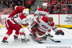 Red Wings vs Carolina Hurricanes Feb 24 2018 (11)