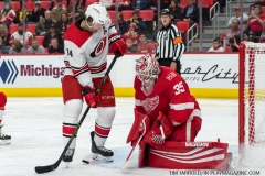 Red Wings vs Carolina Hurricanes Feb 24 2018 (12)