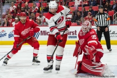 Red Wings vs Carolina Hurricanes Feb 24 2018 (13)