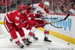 Red Wings vs Carolina Hurricanes Feb 24 2018 (14)