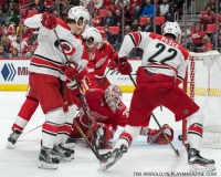 Red Wings vs Carolina Hurricanes Feb 24 2018 (16)