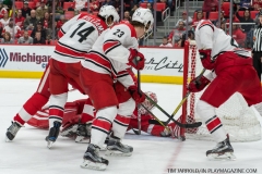 Red Wings vs Carolina Hurricanes Feb 24 2018 (17)