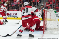 Red Wings vs Carolina Hurricanes Feb 24 2018 (18)