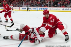 Red Wings vs Carolina Hurricanes Feb 24 2018 (21)