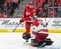 Red Wings vs Carolina Hurricanes Feb 24 2018 (22)