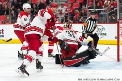 Red Wings vs Carolina Hurricanes Feb 24 2018 (23)