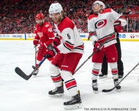 Red Wings vs Carolina Hurricanes Feb 24 2018 (24)