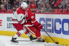 Red Wings vs Carolina Hurricanes Feb 24 2018 (3)